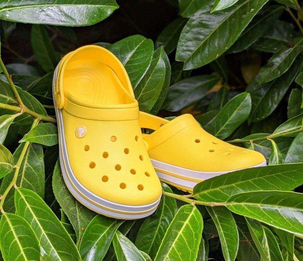 Crocs Crocband Clog Yellow Lemon/White — фото 4