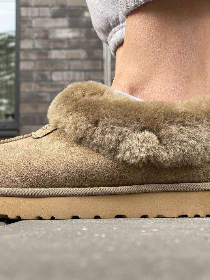 Жіночі UGG Чоботи Сліпери Тапці Хакі Замша з Хутром Coquette Khaki Suede — фото 11