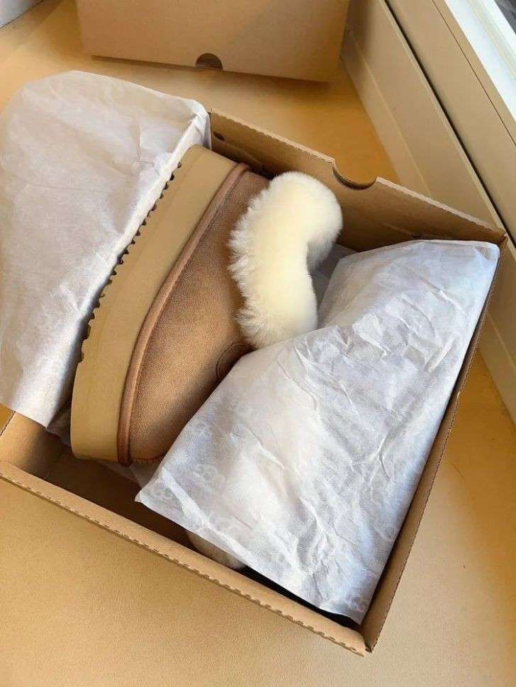 Жіночі UGG Платформа Чоботи Сліпери Тапці Помаранчеві Замша з Хутром Coquette Platform Chestnut — фото 11