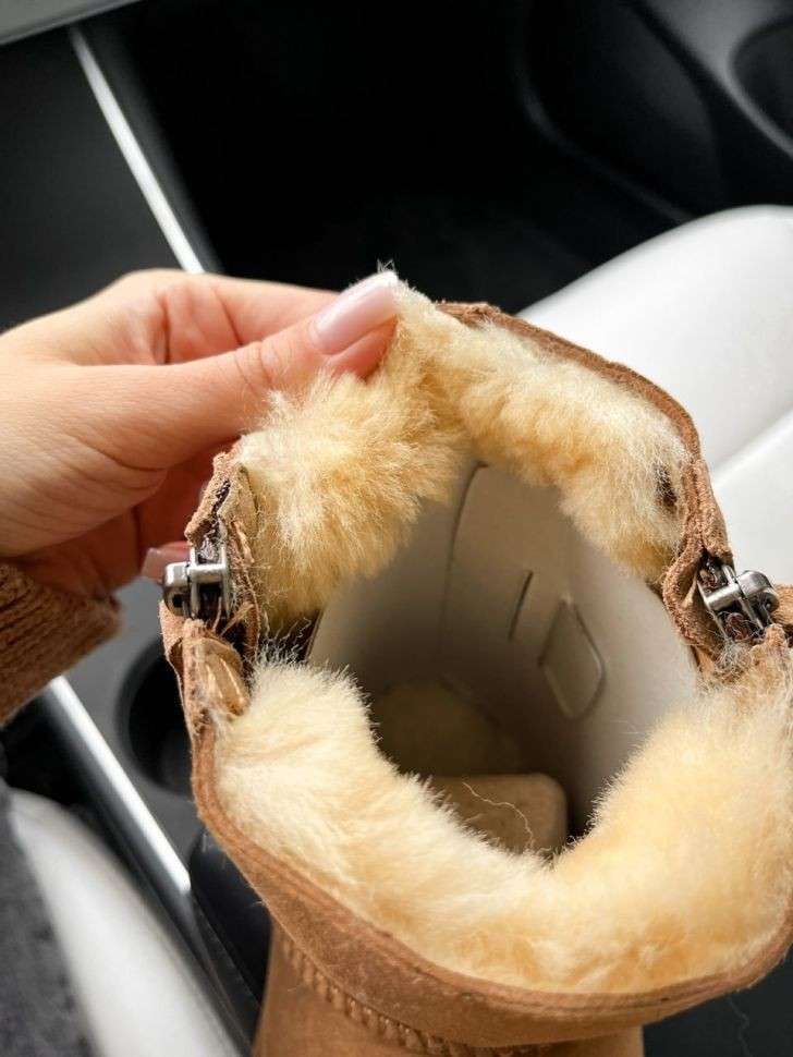 Жіночі UGG Міні Руді Замша з Змійкою Zip Mini Chestnut Suede — фото 2