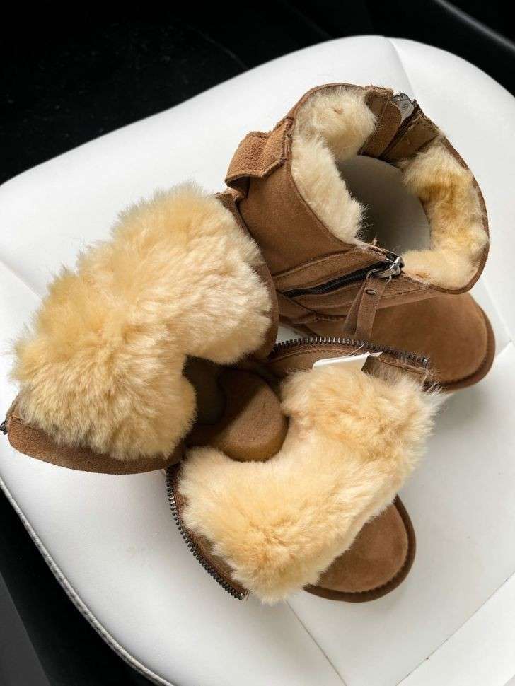 Жіночі UGG Міні Руді Замша з Змійкою Zip Mini Chestnut Suede — фото 4