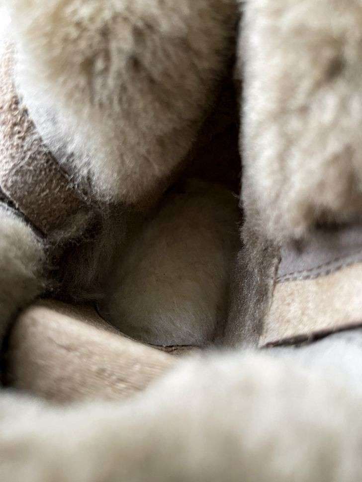 Жіночі UGG Міні Хакі Замша з Змійкою Zip Mini Khaki Suede — фото 11
