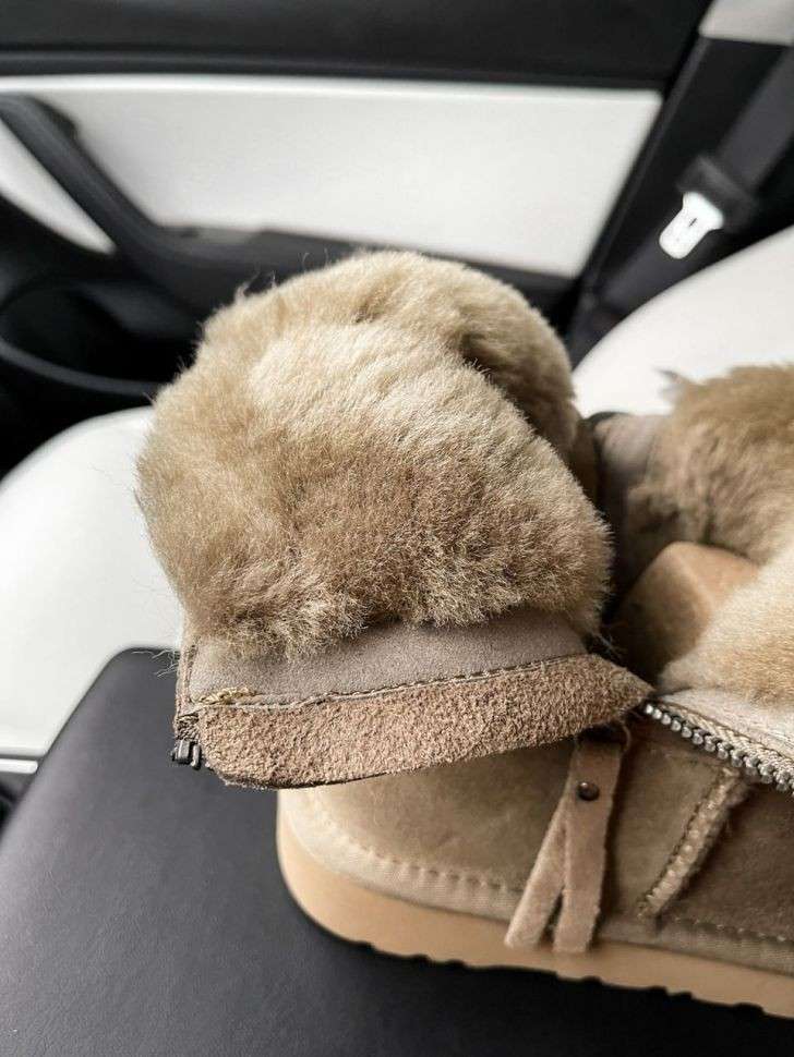 Жіночі UGG Міні Хакі Замша з Змійкою Zip Mini Khaki Suede — фото 3