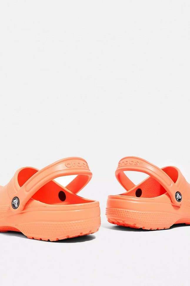 Жіночі Crocs Classic Clog Papaya — фото 4