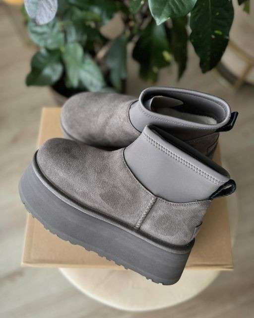 Жіночі UGG Платформа Міні Діппер Сірі Classic Mini Dipper Platform Thundercloud Grey — фото 3