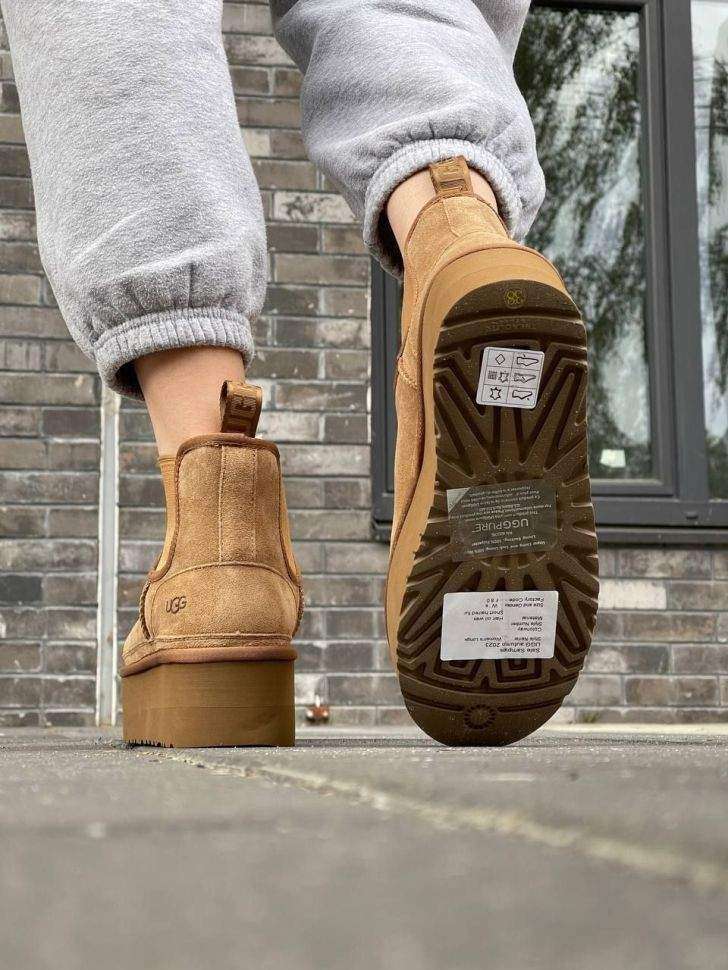 Жіночі UGG Платформа Ньюмел Чоботи Помаранчеві Замша з Пасками Neumel Chelsea Chestnut Platform — фото 12