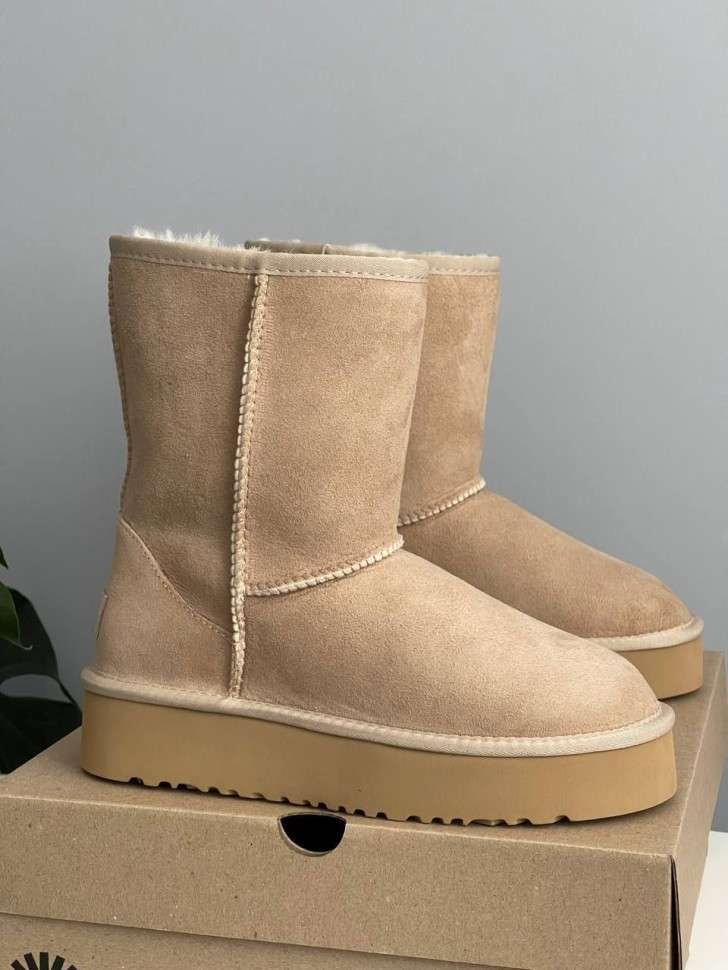 Жіночі UGG Платформа Шот Бежеві Short Platform Beige — фото 2