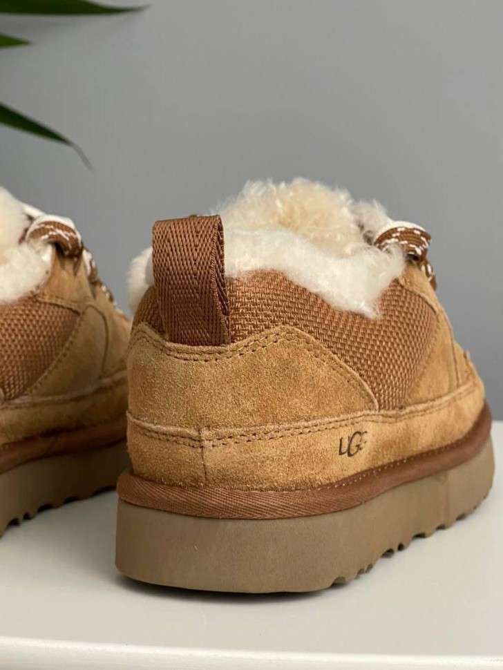 Жіночі UGG Низькі Кросівки Зимові Замшеві Помаранчеві Lo Lowmel Chestnut — фото 4