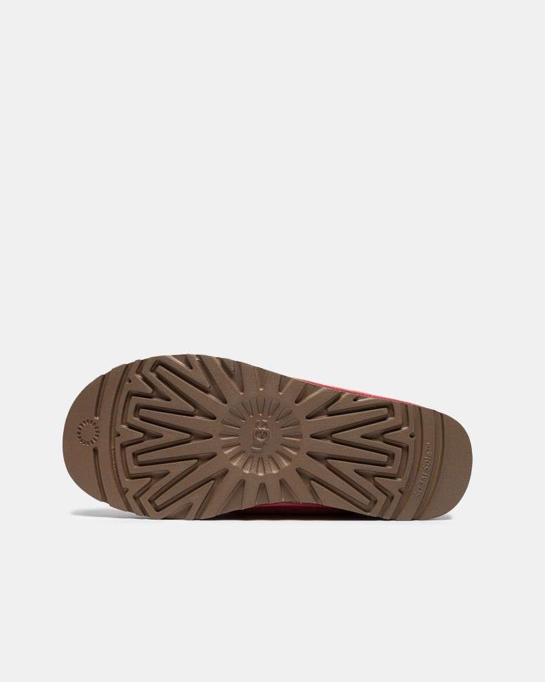 Жіночі UGG Тасман Сліппер Ультра Міні Рожеві Шльопанці Tasman II Pink Dawn — фото 4
