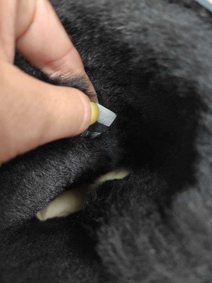 Жіночі UGG Середні Чорні Замшеві з Гудзиком Зваровскі Medium Black Suede Button Svarovsky — фото 11